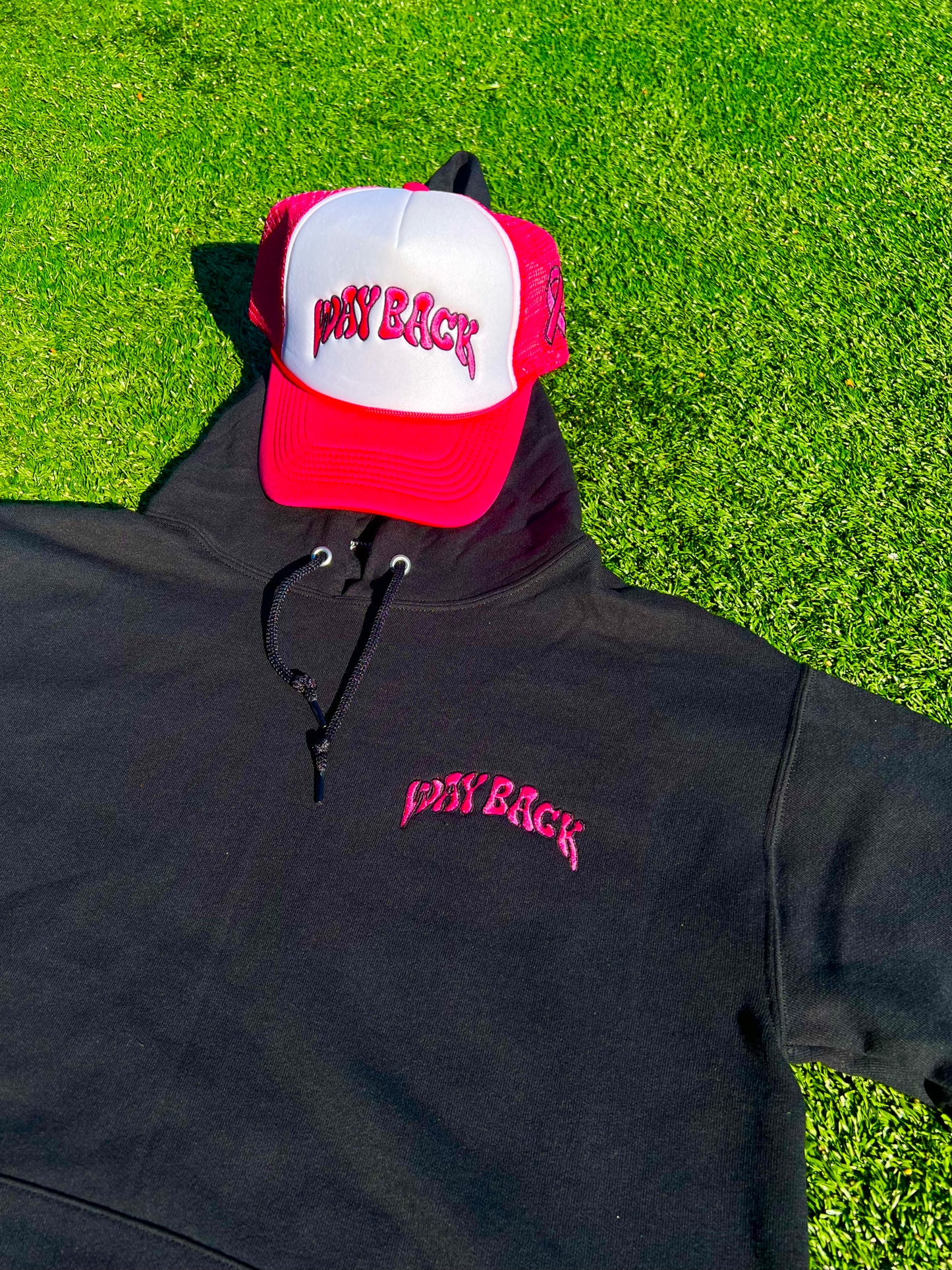 Breast Cancer Trucker